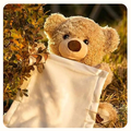 🧸Hide and Seek Talking Plush Bear