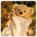 🧸Hide and Seek Talking Plush Bear