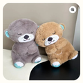 Cozy Sleepy Plush Companion
